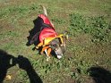 halloween 2010 036